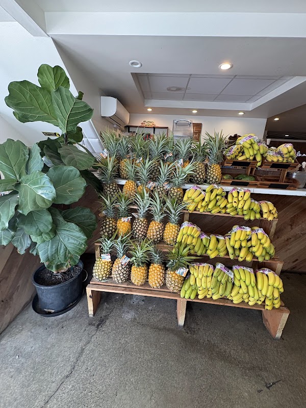 ALOH Health Bar & Cafe 5