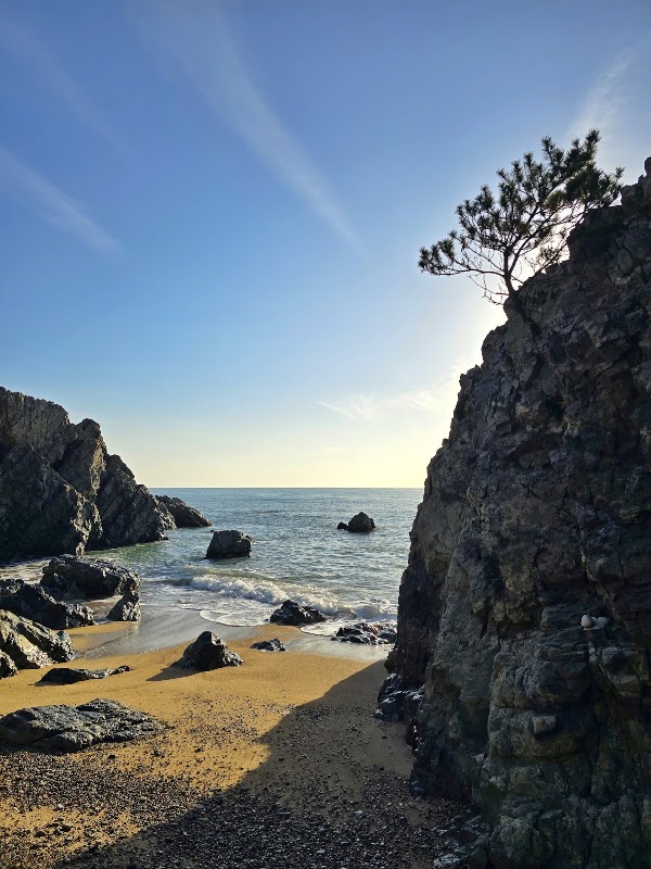 지경리해변 3