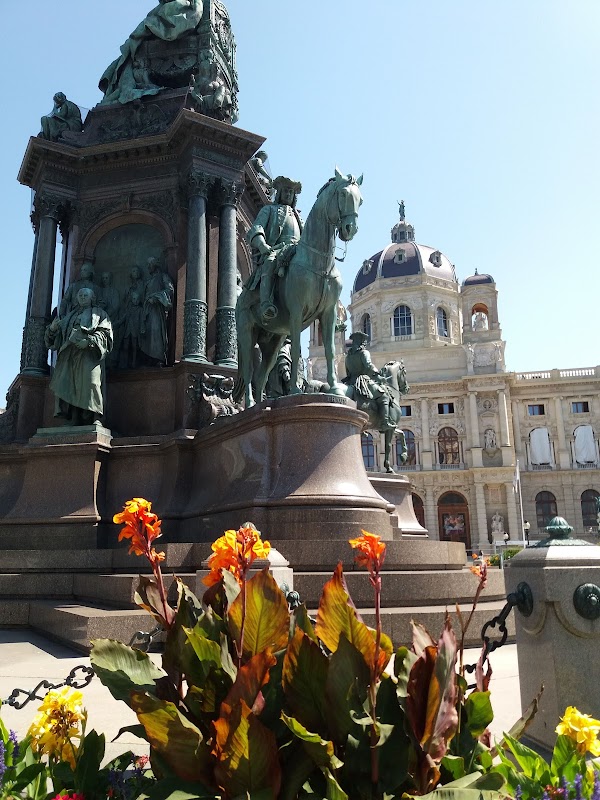 Vienna 5
