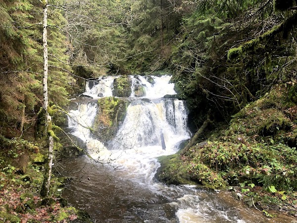 Rötenbachschlucht 1