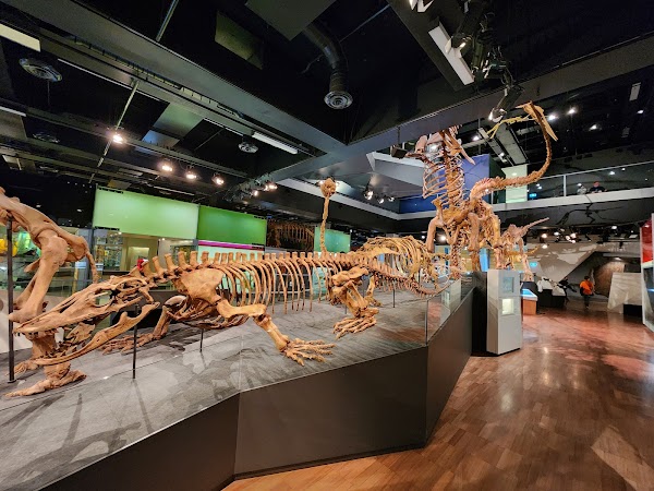 Melbourne Museum 5