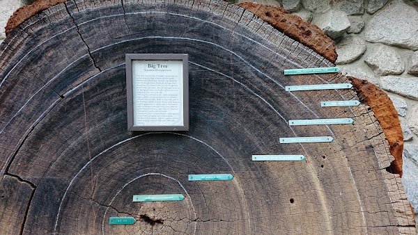 Yosemite Museum 3