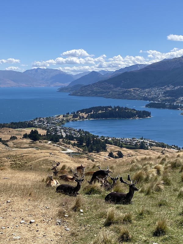 Deer Park Heights Queenstown 3