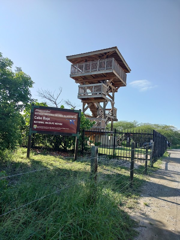 Refugio Nacional de Vida Silvestre de Cabo Rojo