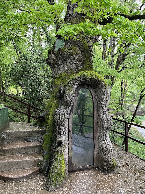 Kutaisi Botanical Garden
