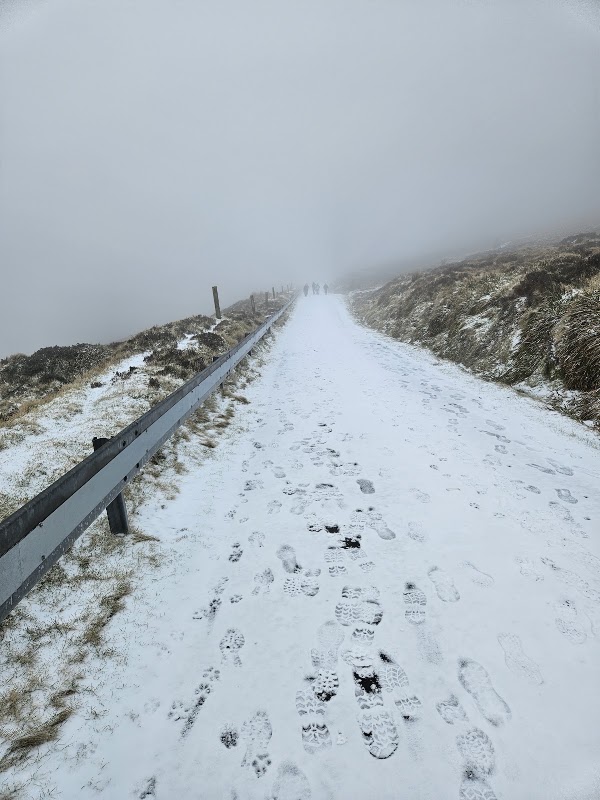 Mount Leinster 2