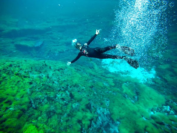 Ewens Ponds 3