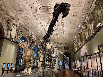 Museum of Natural History Vienna 1