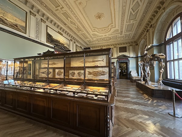 Museum of Natural History Vienna 5