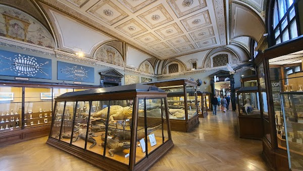 Museum of Natural History Vienna 3