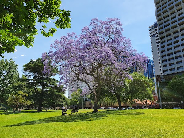 Flagstaff Gardens 4