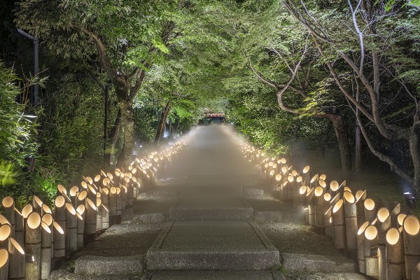 東山観月路 5