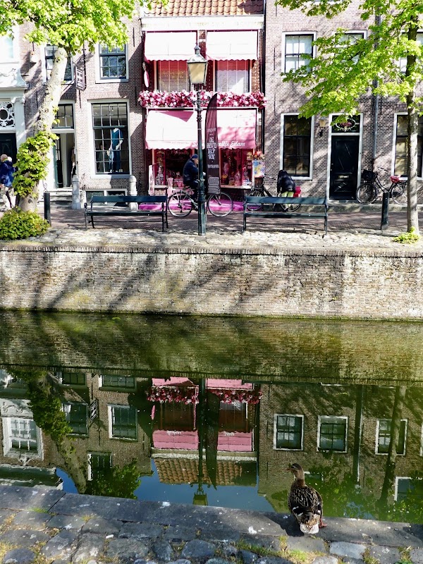 Edam 5