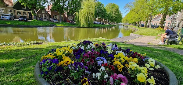 Edam 4