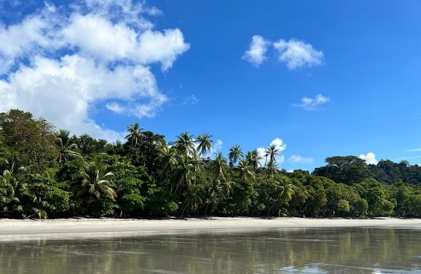 Espadilla Beach 5