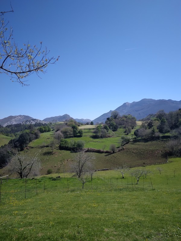 Ardisana 1