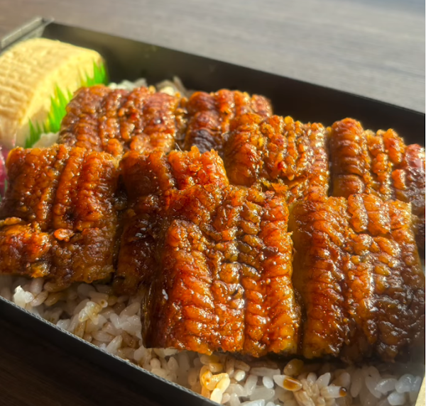 Unagi Wasa 2