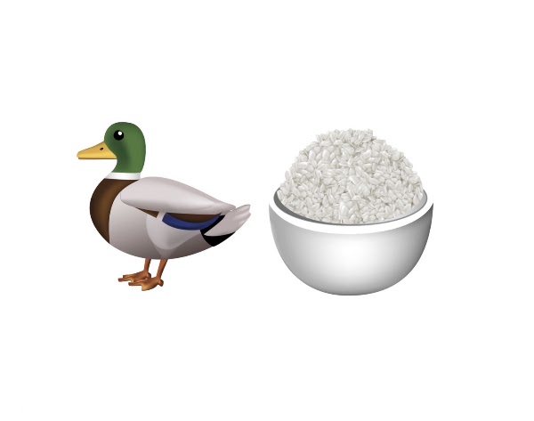 Gion Duck Rice 3