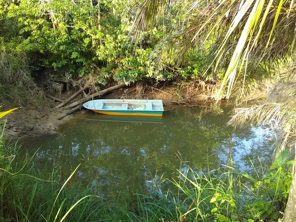 Pasir Akar