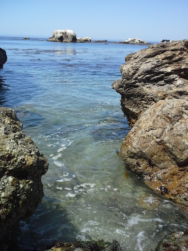 Shell Beach
