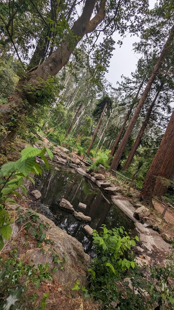 Sigmund Stern Recreation Grove 2
