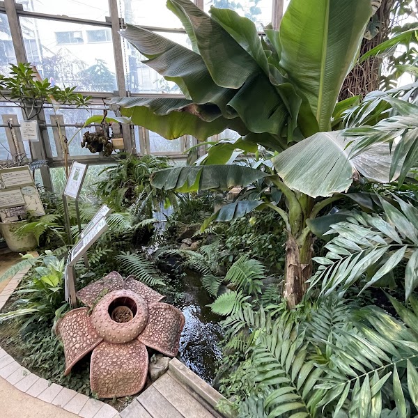Shibuya Fureai Botanical Center 5