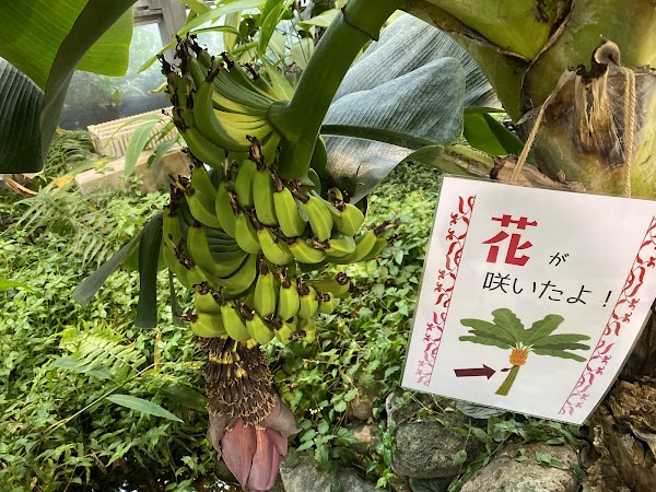 Shibuya Fureai Botanical Center 2