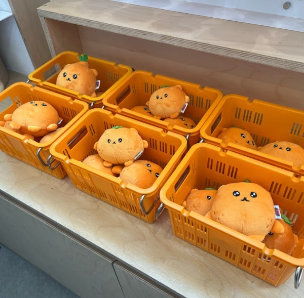 오브젝트 제주점 Object Jeju Branch 4
