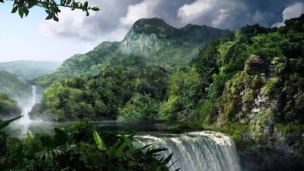 Parque Nacional Madidi 1