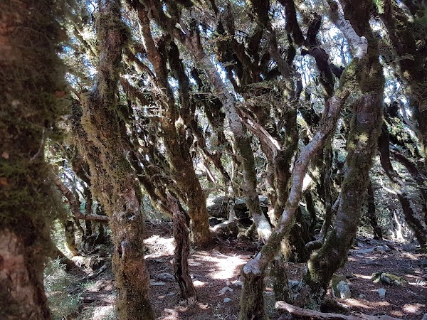 Mount Stokes 3
