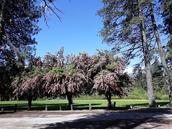 Mount Shasta City Park