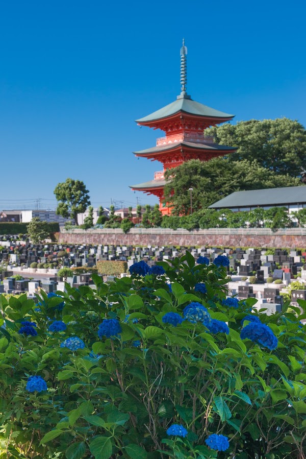 さいたま市の霊園 公園墓地青葉園 5