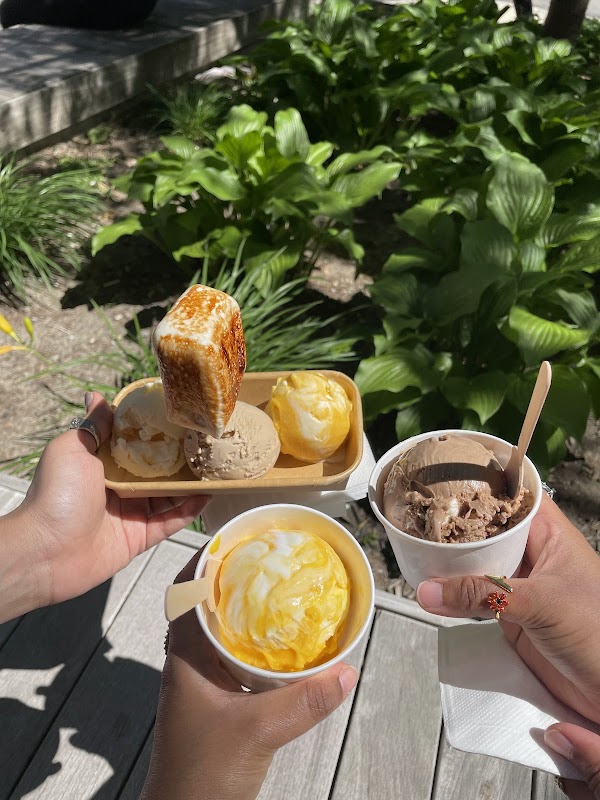 Misfit Ice Cream Pop Up 5