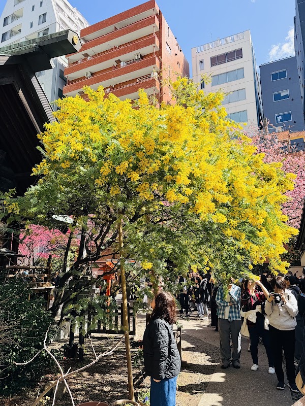 Kuramae Shrine 3