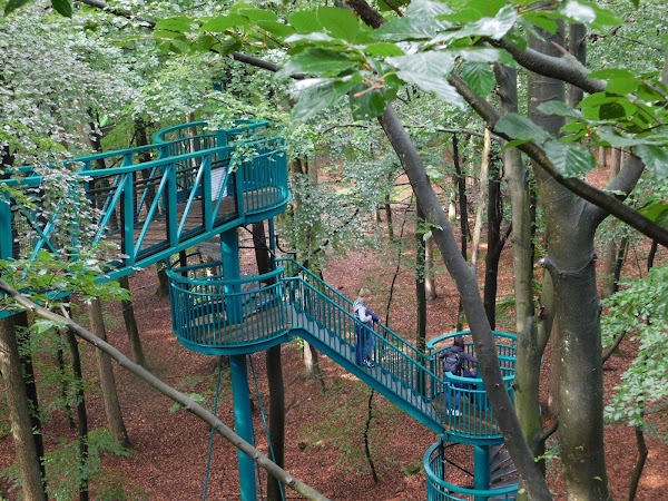 Outdoor Center Boomkroonpad 4