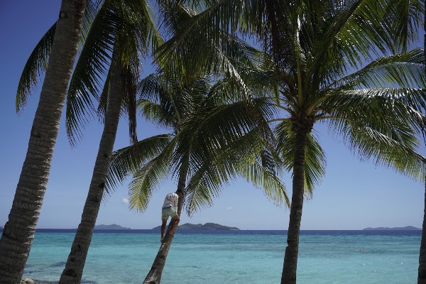 Malcapuya Island 4