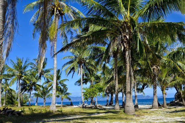 Malcapuya Island 3