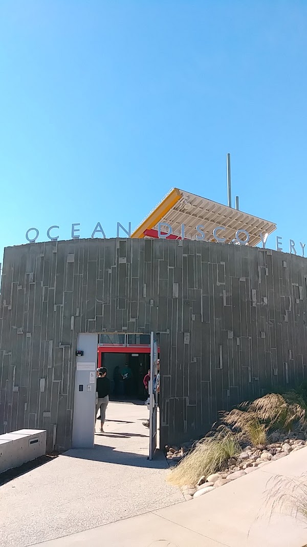 Ocean Discovery Institute 5