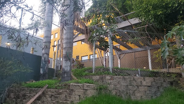 Ocean Discovery Institute 2