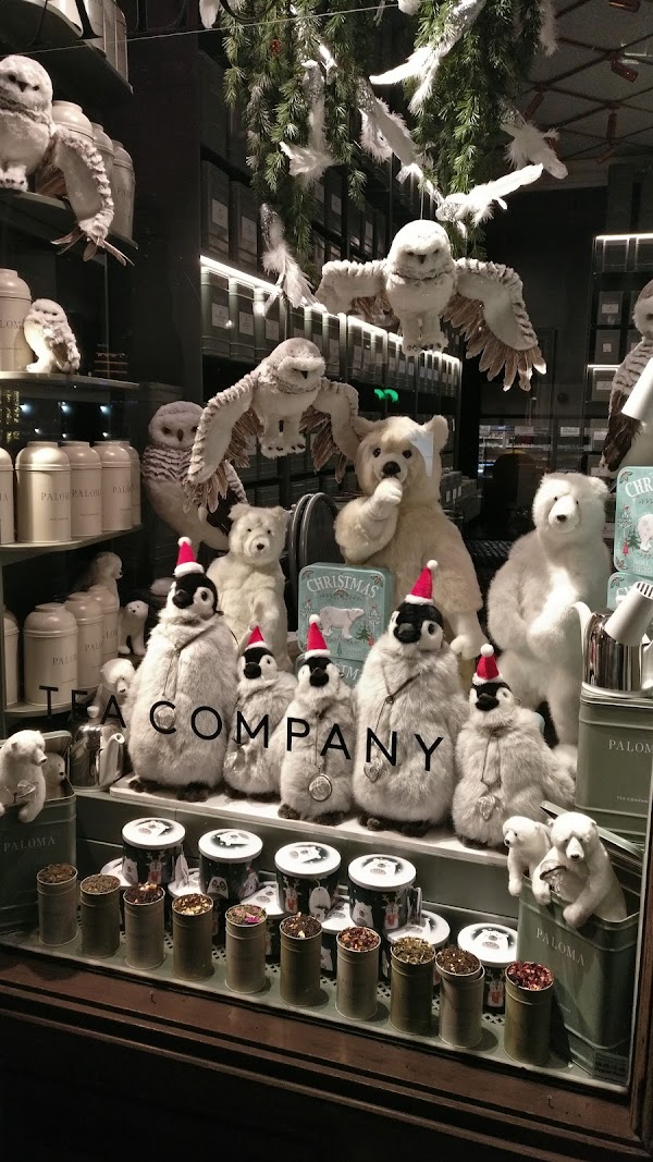 PALOMA TEA COMPANY 3