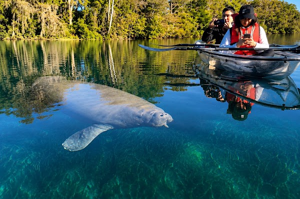 Get Up And Go Kayaking - Silver Springs 1