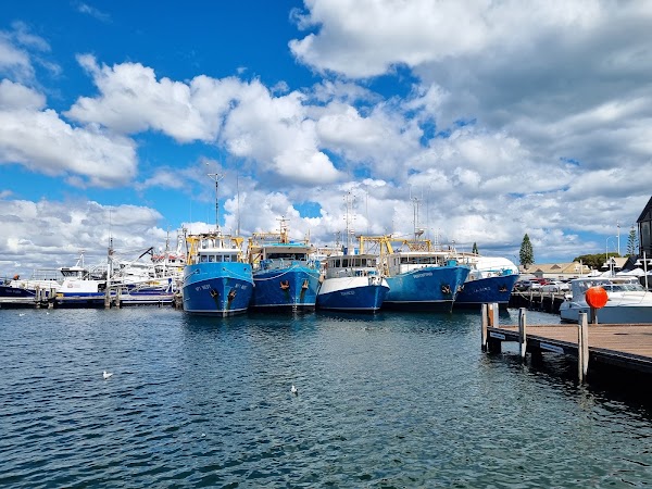 Fremantle Fishing Boat Harbour 5