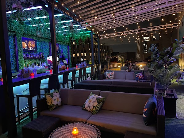 Highkey Rainforest Rooftop 1