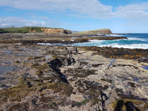 Curio Bay