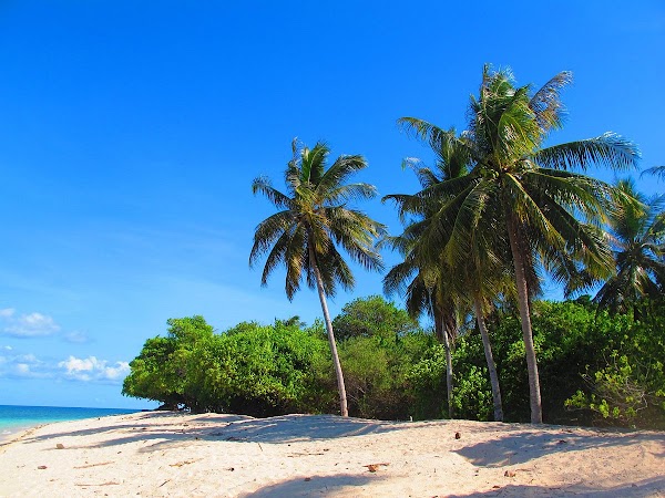 Turtle Islands Park 5