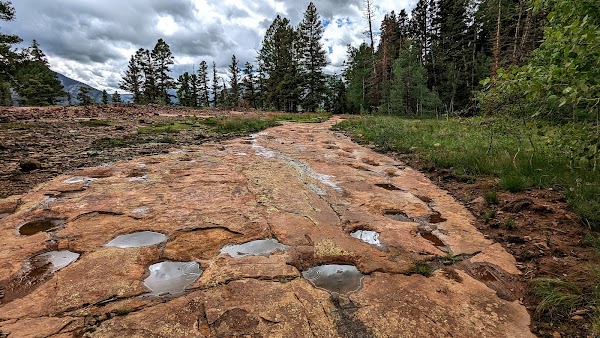 West Gold Hill Dinosaur Trackway