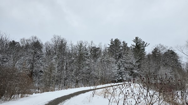 Environmental Park 2