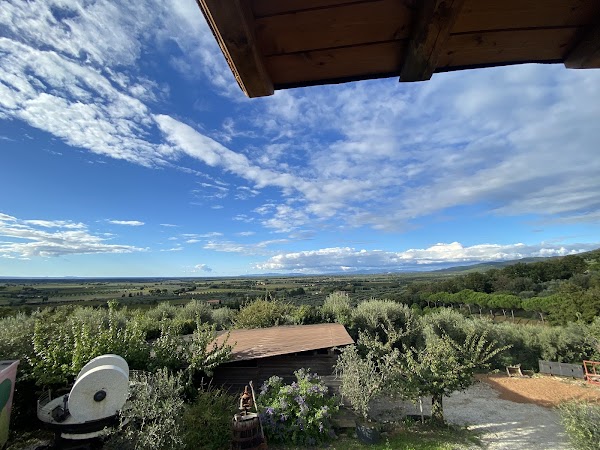 L'Antico Frantoio Di Segalari & Agriturismo 3