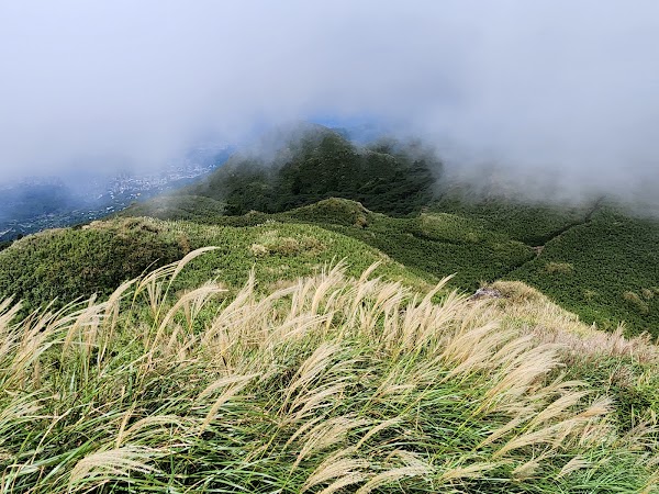 Qixingshan Trail 4
