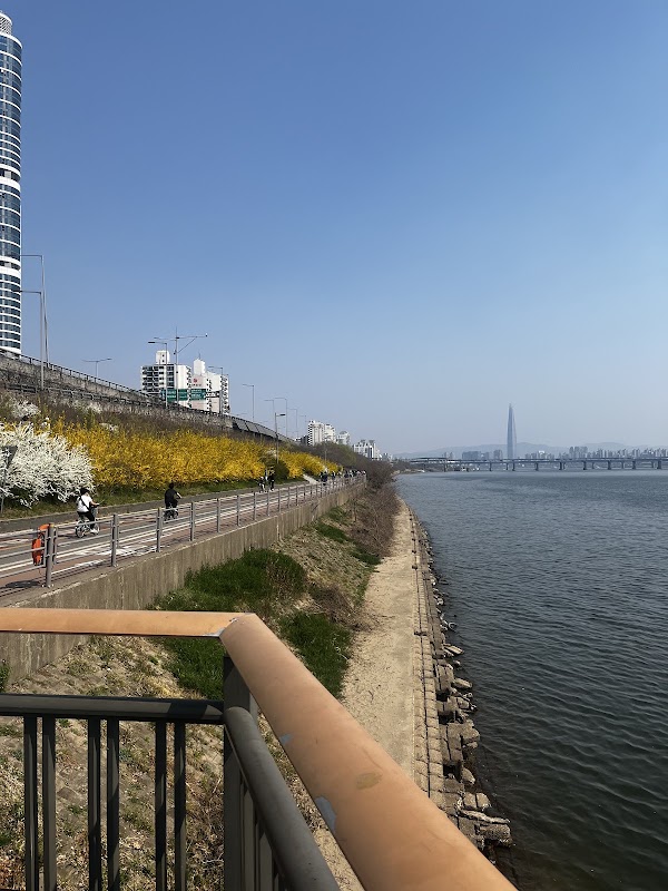 Seongsu Pedestrian Overpass 2
